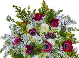 Download hd rose wallpapers best collection. Wallpaper Roses Flowers Bouquet Big Beautiful 1800x1330 Wallhaven 1089703 Hd Wallpapers Wallhere