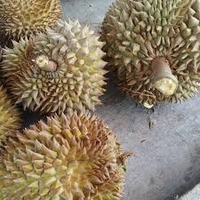 Balik pulau hotels with pools. Durian Balik Pulau 1 Tip From 87 Visitors