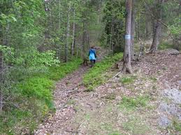 Unsourced material may be challenged and removed. Svartskog Pa Langs