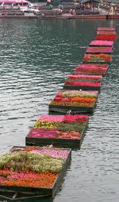 Cimg0509 Jpg 945 1 600 Pixels Floating Garden Landscape And Urbanism Landscape Design
