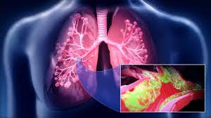 Mucus Wikiwand