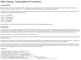 Biology transcription and translation worksheet answers. Dna Coloring Transcription And Translation Worksheet Answer Key Promotiontablecovers