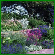 Cama En Una Pendiente En Diferentes Niveles Diferentes Niveles Pendiente In 2020 Hanging Garden Perennials Vegetable Garden Design