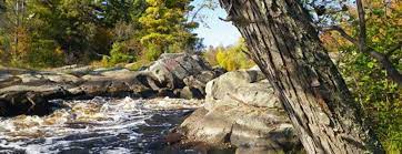 All campsites at both lake of the pines and conners lake campgrounds are reservable. Lake Of The Pines Campground Travel Wisconsin
