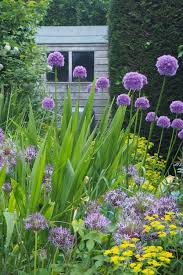 Bespoke seating with wooden bench style seating utilises space efficiently. The 25 Best Self Seeding Plants To Save You Time And Money The Middle Sized Garden Gardening Blog