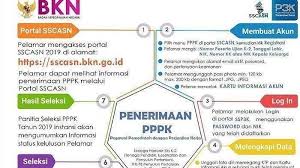 Rabu, 2 desember 2020 11:29. Pendaftaran Cpns 2019 Tak Lagi Di Sscn Bkn Go Id Pengumuman Skd Februari 2020 Tribun Kalteng