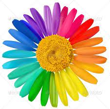 Vector Multicolored Daisy Flower Isolated Flower Images Daisy Flower Flower Art Drawing