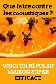 Maybe you would like to learn more about one of these? Que Faire Contre Les Moustiques Voici Un Repulsif Maison Super Efficace Moustique Repulsif Repulsif Insectes