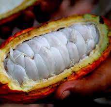 Pin On Fruit And Barrys