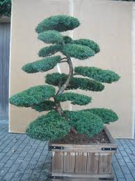 Japanische Gartenbonsai Hillergarten De Gartenbonsai Design Kleiner Garten Garten