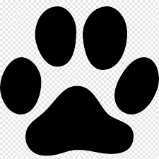 Weitere ideen zu png bilder, png, bilder. Hund Pfote Abbildung Hund Katze Pfote Tier Spur Fussabdruck Abdruck Tier Tierspur Tiere Png Pngwing