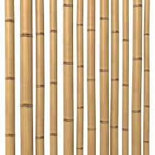 3d Model Bamboo Stem Dry 3d Model Bamboo Stalks Bamboo 3d Model