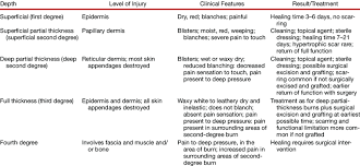 Classification Of Burn Depth Download Table