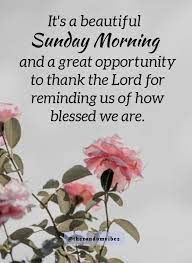 Check spelling or type a new query. 101 Inspirational Blessed Sunday Quotes Sayings And Images Happy Sunday Quotes Sunday Morning Quotes Blessed Sunday Morning