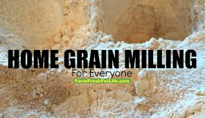 Grind it up and put into a dry container for storage. How To Grind Flour On The Cheap Farm Fresh For Life Real Food For Health Wellness