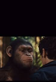 Me Calling Cesar Vs Gorilla