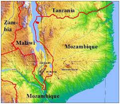 Image result for Crassula morrumbalensis