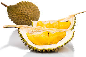 Durian - peeled (frozen) - musang king - My Exotic Fruit