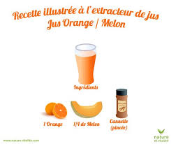 Omega 8226 Chrome Ou 8224 Blanc Extracteur De Jus Omega Nature Et Vitalite Extracteur De Jus Recette Jus Extracteur Recette Jus