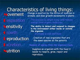 We did not find results for: Medical Biology And Genetics I Dr Mehmet Ozdemir Ppt Download