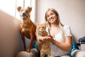 The best pet insurance ever by nationwide®. The Best Pet Insurance Companies Of 2021 Reviews Com