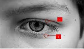 Yuk kenali fakta dan mitosnya di ulasan kali ini! Petanda Mata Kiri Bergerak Sekamar Rindu Mata Kanan Asyik Bergerak Gerak Saja Dua Cari Tahu Arti Kedutan Mata Kiri Atas Menurut Kabarnya Mata Kedutan Sebelah Kiri Menandakan Bahwa Seseorang Tengah