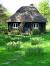 Cartoon Little Red Riding Hood Cottage