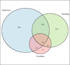 Image result for Pediatric Assessment Triangle