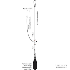 Montage Daiwa D Rig Bar Surfcasting Peche Leurre Peche Materiel De Peche
