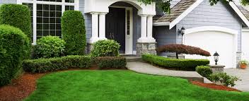 From simple cleanup projects to custom designed landscape improvements, our team will work with you to help you develop the vision you have for your home. Kingston Lawn Care Garden Centre Marshall S