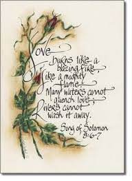  47 Bible Song Of Solomon Ideas Song Of Solomon Bible Songs Bible