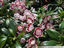 We did not find results for: Les Bienfaits Du Laurier Sauce