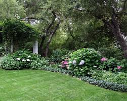 Back Yard Shade Garden Using Classic Garden Favorites Including Hydrangea Heliotrope And Ajuga Shade Garden Design Shade Garden Landscape Design