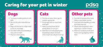 Maybe you would like to learn more about one of these? Pet Care In Winter Pdsa