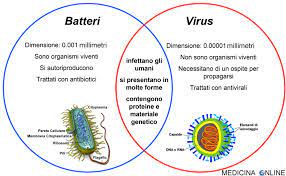 Non tutti conoscono la differenza tra batteri e virus, anche se per chi si occupa di questi argomenti la questione può sembrare banale. Differenza Tra Virus E Batteri Chi E Piu Pericoloso Diagnosi Sintomi E Terapia Medicina Online