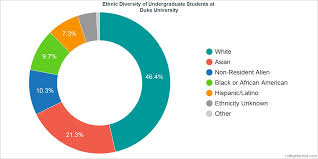 Race Pie Chart Of The World Www Bedowntowndaytona Com