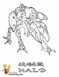 Dogs love to chew on bones, run and fetch balls, and find more time to play! Heroic Halo 4 Coloring Pages Halo 4 Free Master Chief