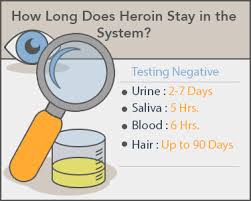 how long do opiates stay in your system oxycodone hydrocodone