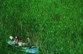 A delicious flight (2015) film semi, watch. Sexiest Asian Films To Watch When You Are Alone Time Out