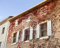 1, 2 ou 3 pochettes; Fenetre Entouree De Vigne Vierge Rouge Peintures Murales Tableaux Foret Mur Main Courante Myloview Fr