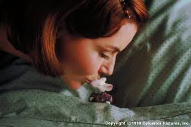 Stuart Little (1999)