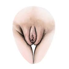 Personal Stories – 4 — The Vulva Gallery