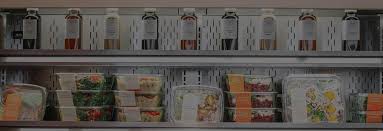 Proper food combining can help improve your digestion and assimilation of nutrients, and may even be helpful for those who have a compromised digestive system, or suffer from digestive disorders. Homepage Proper Food