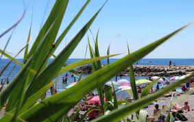 Epingle Sur Corniche Est De Sausset Les Pins
