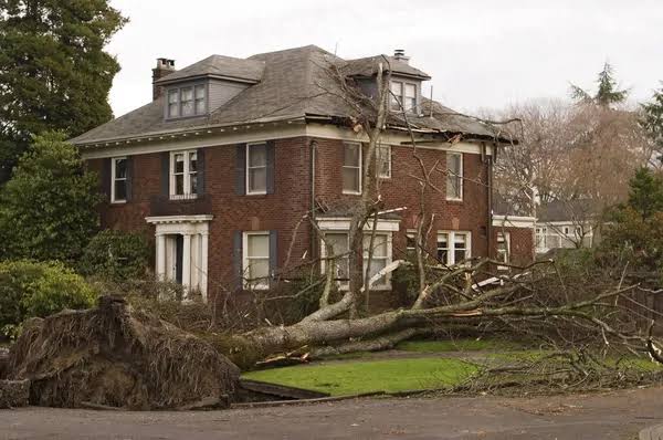 Storm Damage