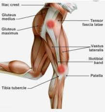 Gluteus maximus strain pain can occur anywhere in the muscle. Lower Back Pain And It Band Stretching Belymbr