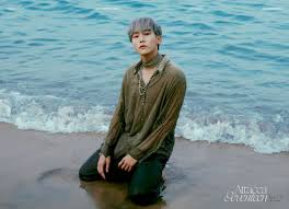 Seungkwan (seventeen) lyrics mit übersetzungen. Seungkwan Seventeen Wiki Fandom
