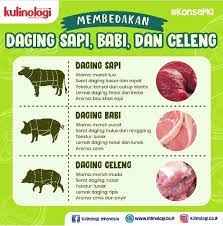Itulah beberapa gambaran singkat mengenai daging babi. Membedakan Daging Sapi Babi Dan Celeng Program Studi Teknologi Hasil Pertanian