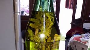 Jun 22, 2021 · todos sus vecinos acudían a su casa para recibir el consabido trago de caña con ruda, la bebida dedicada a la madre tierra. Cana Con Ruda El Tradicional Habito Regional Para Ahuyentar Las Pestes