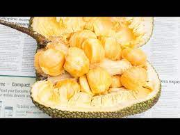 Pembayaran mudah, pengiriman cepat & bisa cicil 0%. How To Eat Cempedak Best Way To Open A Cempedak Youtube